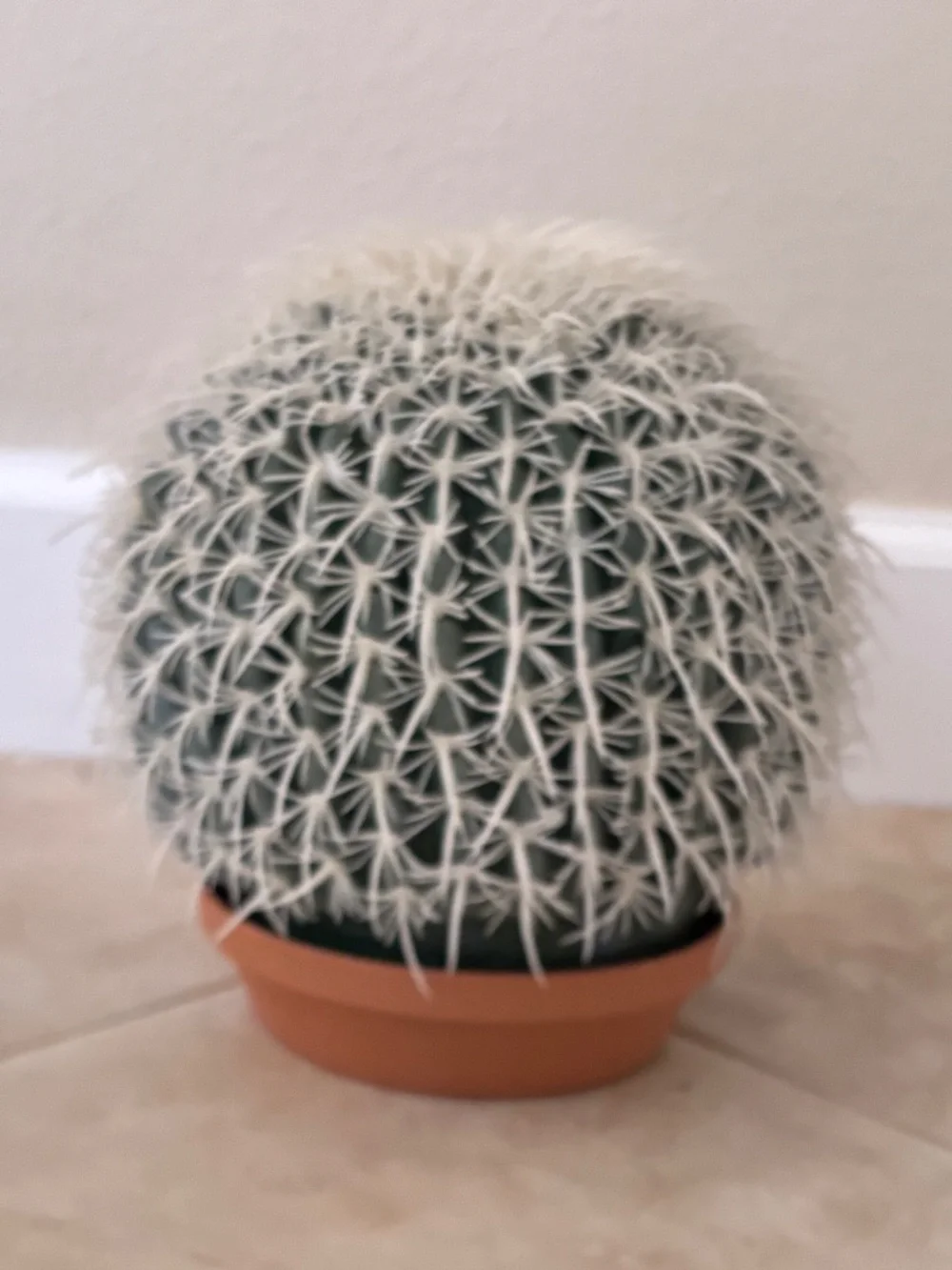 Faux Cactus